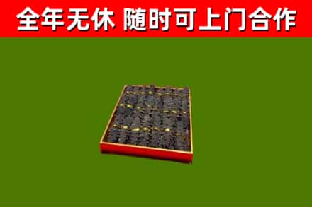 昆都仑回收海参